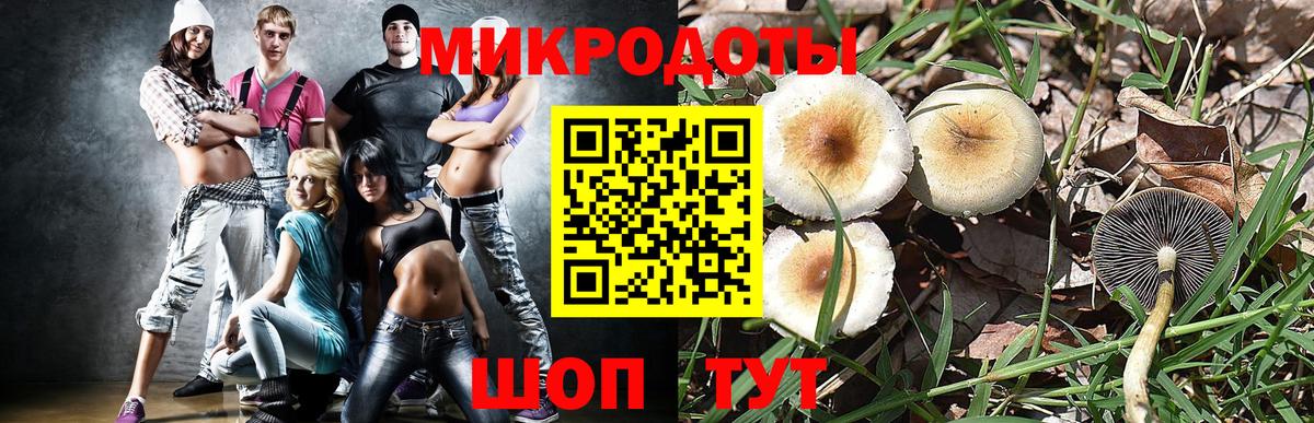 Галлюциногенные грибы прущие грибы Кропоткин