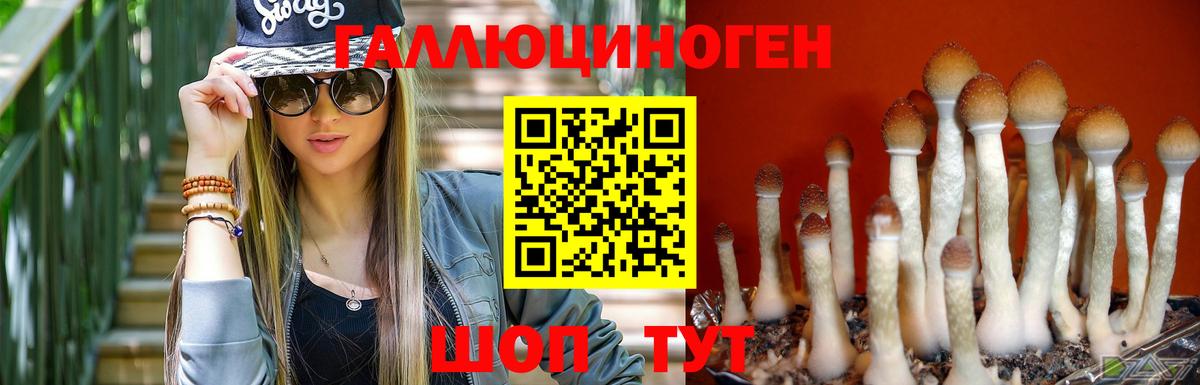 Псилоцибиновые грибы MAGIC MUSHROOMS  Кропоткин 