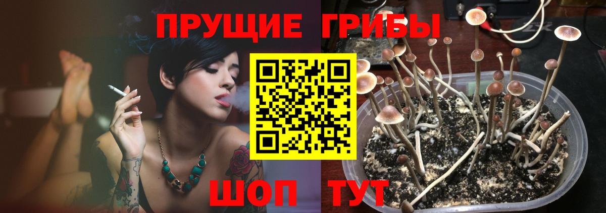 Псилоцибиновые грибы ЛСД  Вход с VPN  Псилоцибиновые грибы Psilocybine cubensis  Кропоткин 